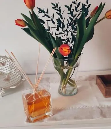 Apartamento Alfieri *